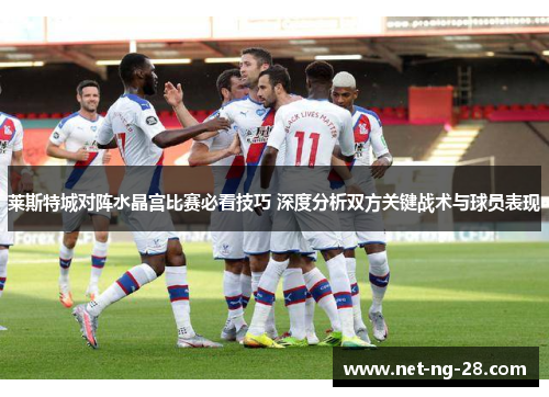 莱斯特城对阵水晶宫比赛必看技巧 深度分析双方关键战术与球员表现 莱斯特城对阵水晶宫比赛必看技巧 深度分析双方关键战术与球员表现