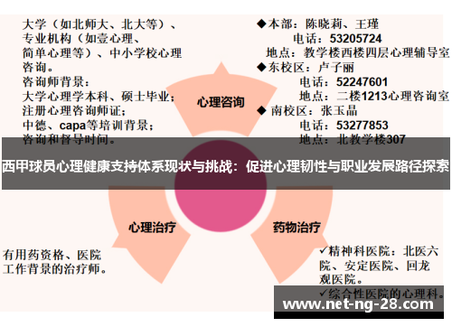 西甲球员心理健康支持体系现状与挑战:促进心理韧性与职业发展路径探索 西甲球员心理健康支持体系现状与挑战:促进心理韧性与职业发展路径探索