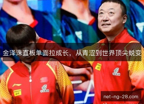 金泽洙直板单面拉成长，从青涩到世界顶尖蜕变